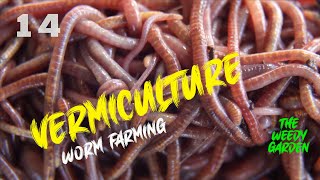 HOW TO MAKE A WORM FARM  Converting an old bathtub into a worm paradise