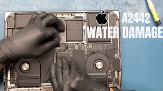 MACBOOK PRO  A2442 -WATER DAMAGE || DRYING UP THE WATER