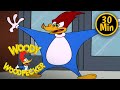 Woody Woodpecker | Woody