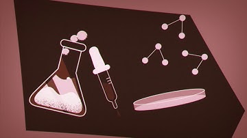FERMENTATION COCOA PROJECT - ANIMATED VIDEO
