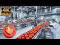 How Food Travels From Farm to Factory Full Process Explained Food Production Journey