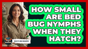 How Small Are Bed Bug Nymphs When They Hatch?