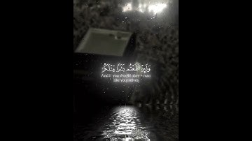 سورة المؤمنون للشيخ ياسر الدوسري #راحة_نفسية #yasseraldossary #قرآن #اكسبلور