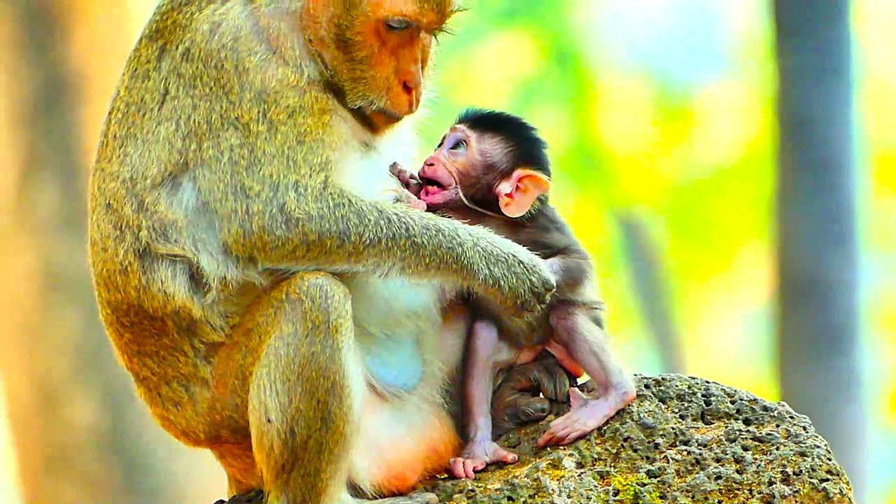 Million pity of adorable baby Aubrey got stuck on April hand like that, Why mother rejected milk..