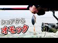 全く釣れないのでオモック投げてみたら・・