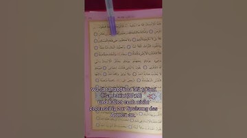 سورة الفجر Quran Deutsch #إسلام_صبحي  #quranvedio #quran #quranicverse  #foryou #fyp #tiktok #fy #ec