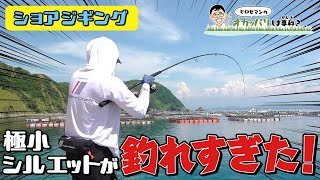 【ヒロセマンTV】巻くだけ簡単ショアジギングしま専科? めっちゃ釣れる簡単ショアジギング