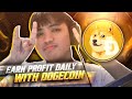 EARN PROFIT DAILY WITH DOGECOIN! - INVEST &amp; EARN PROFITS WITH THIS PROJECT - BIG POTENTIAL BA?