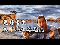 超硬核“美食”節目，貝爺掉進太平洋流落荒島，竟過得很滋潤，用椰子油防曬，還吃了抗衰老的叫花魚