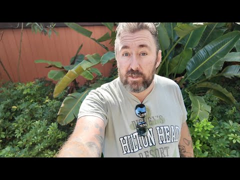 A WEIRD Magic Kingdom Day - Guided Tour Of Swiss Family Tree House / Monorail Races & Jingle Cruise