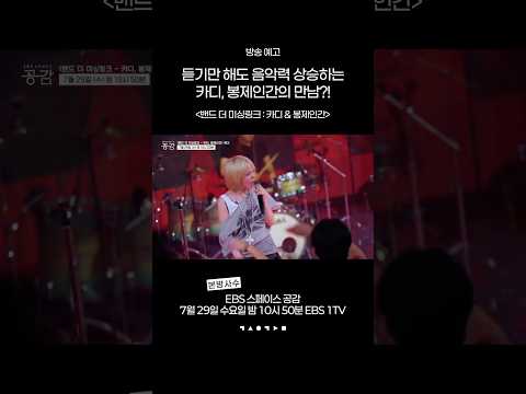 우리가 가장 기다려온 #카디 #봉제인간