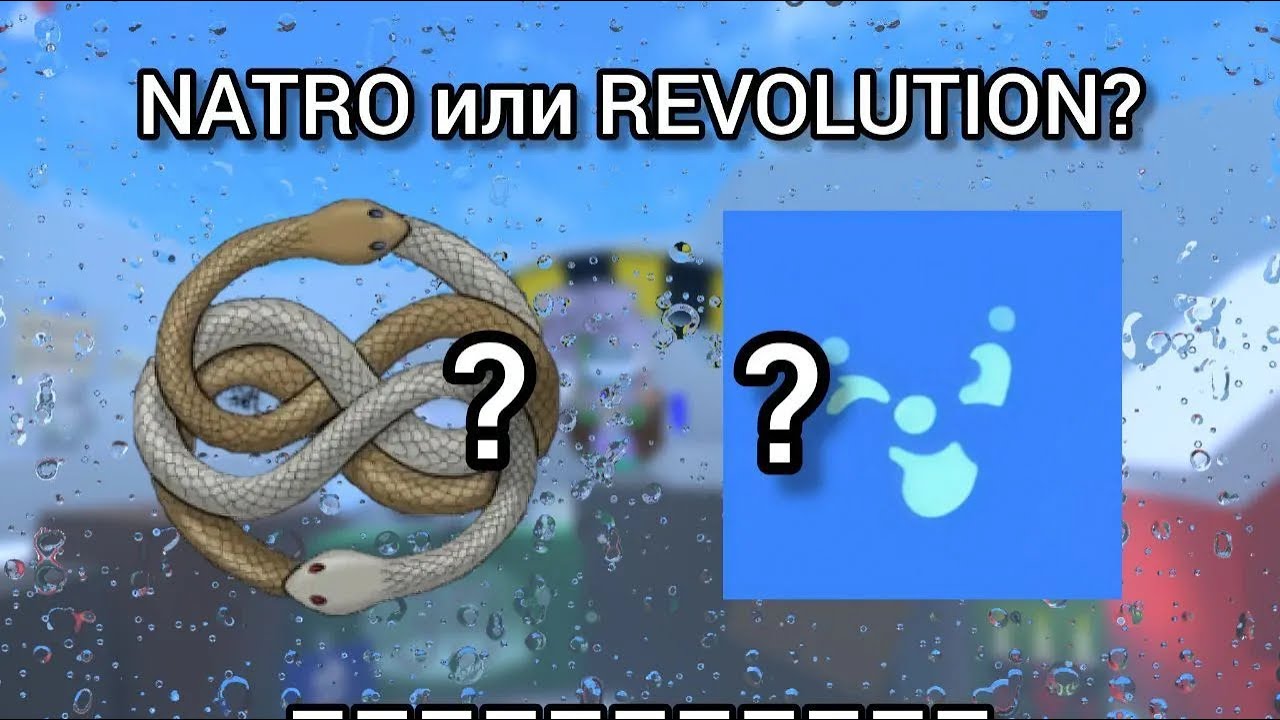 NATRO vs REVOLUTION, какое макро лучше?