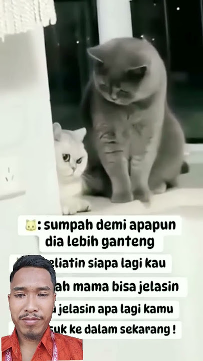 yo ngeneki wong wedok ki wkwk #shorts #short #shortvideo #viral #viralvideo #viralshorts #trending