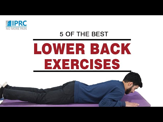 5 Of The Best Lower Back Exercises