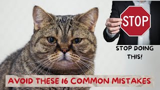 Avoid These 16 Common Mistakes: How You're Hurting Your Cat Without Knowing It!