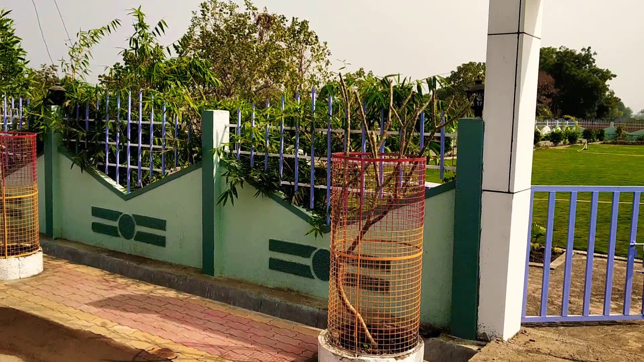 GARDEN DEVELOPER AND MAINTANANCE LAWN ,FLORAL PLANTS AND TREES,GARDEN DESIGNER