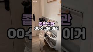 좁은현관 깔끔정리 #좁은집인테리어 #신발보관 #수납장