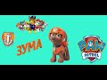 Щенячий патруль. Щенок Зума. Рисуем вместе Зуму. PAW PATROL