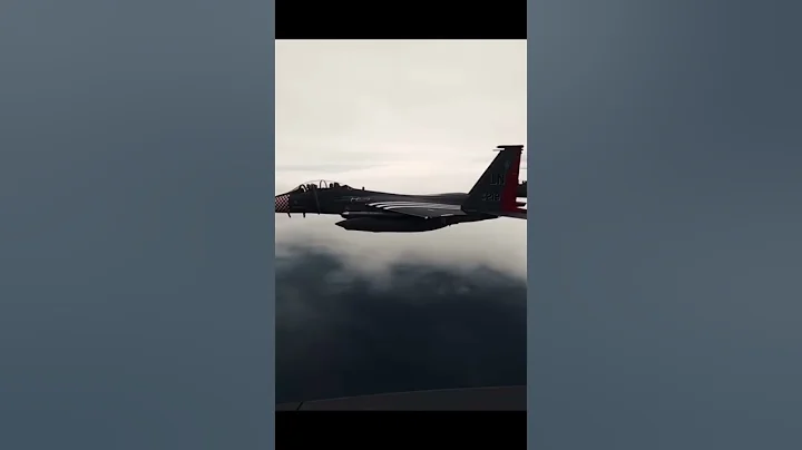 Things you didnt know about the F14 fighter jet