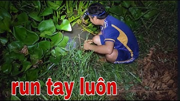 Hai Anh Em Đi Cắm Câu Cá Lóc Cá Khủng Dính Câu Kéo Gãy Cần Câu # SĂN BẮT ĐỒNG THÁP #