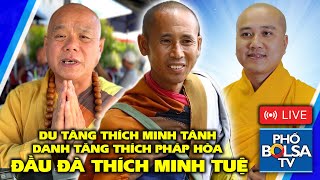 Du tăng Thích Minh Tánh, Danh tăng Thích Pháp Hoà, Đầu đà Thích Minh Tuệ: Thấy gì?