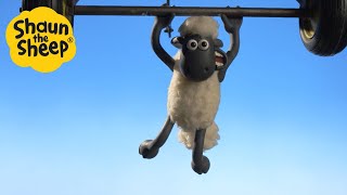 Shaun the Sheep  Shaun flying!   Cartoons for Kids  Special Episodes Compilation [1 hour]