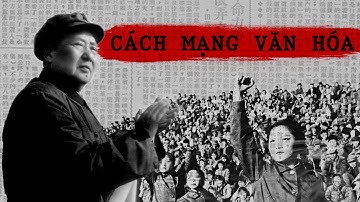 Tại Sao Mao Trạch Đông Nhất Định Muốn Thực Hiện Cách Mạng Văn Hóa? | CDTeam - Why?
