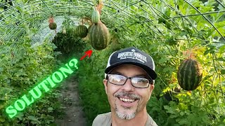 PROBLEM In The 50' MELON TUNNEL!! Will This Work???