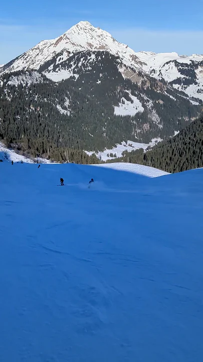 #chatel #telemark #telemarkskiing #portesdusoleil