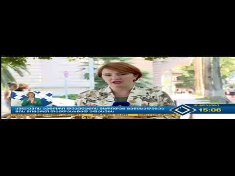 საკრებულოს წევრთა აქტიურობის შეფასება - რომა დოლაბერიძე