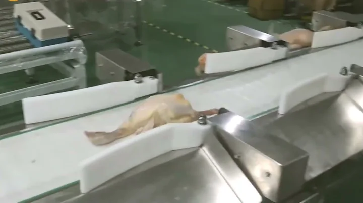 Check weigher automatic online equipment with different weight grading sorting system