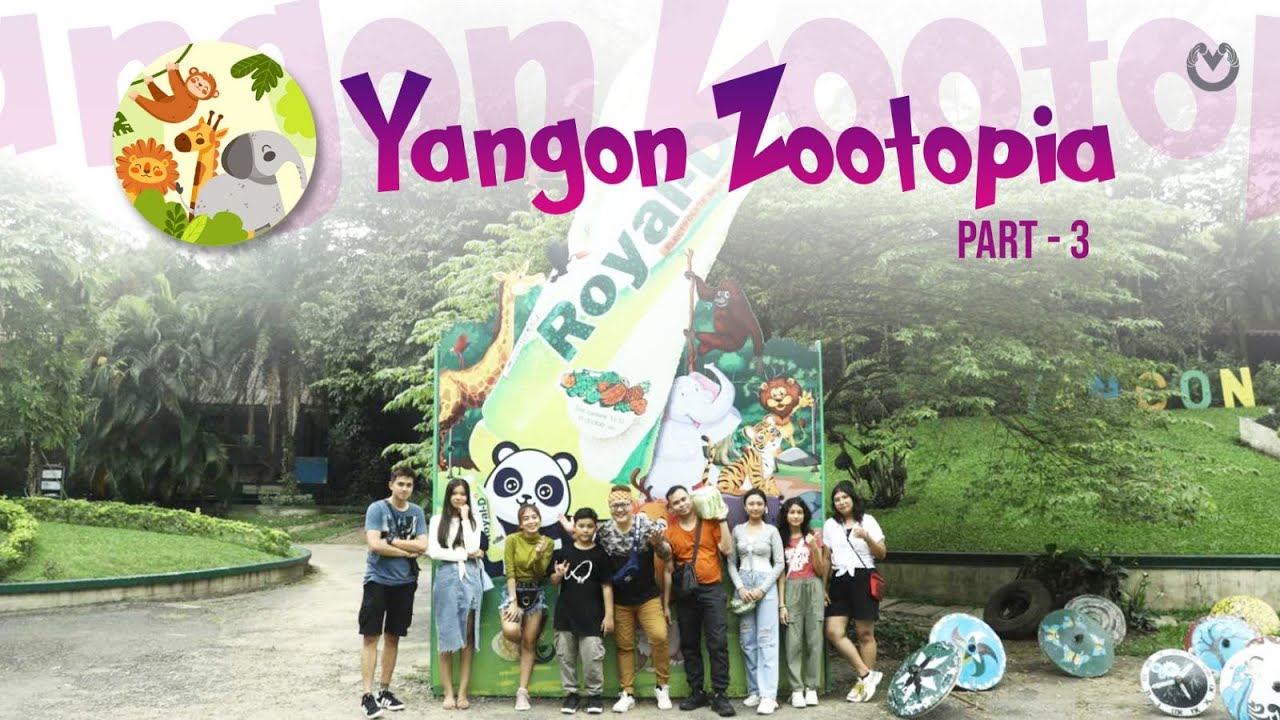 Team စိန်ပေါက်ပေါက် နဲ့ Team စိန်မျောက်မျောက်တို့ရဲ့ စိန်ခေါ်မှု အပိုင်း (၃) 🦛🐒🐻 🐊🦌 😱