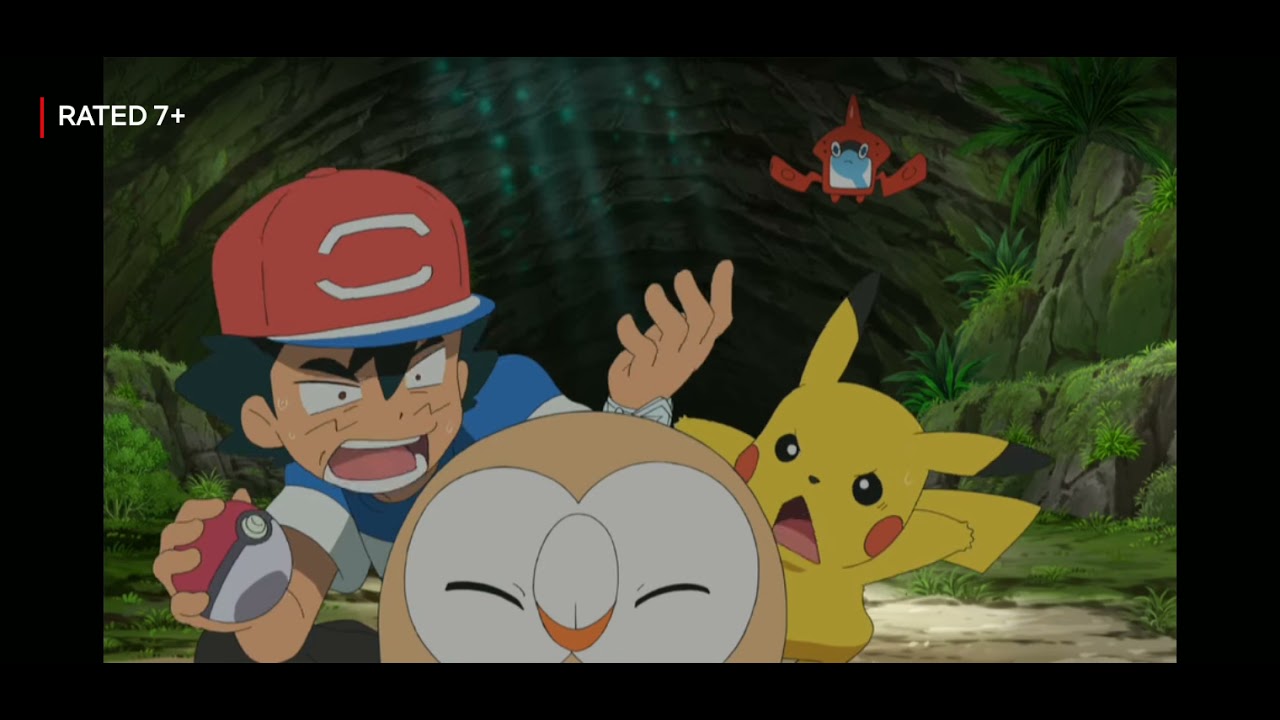 Rowlet Fighting Rowlet is a sleep in the middle of a battle - YouTube