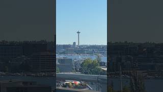 The Beauty Right There, Look 👀 #music #seattle #snippet