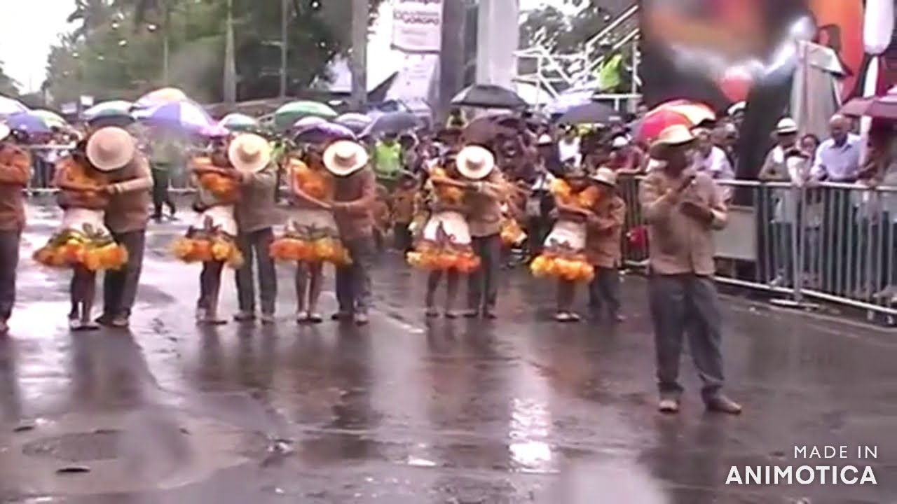 CANAGUARO DEL LLANO EN FESTIVAL INTERNACIONAL DEL JOROPO