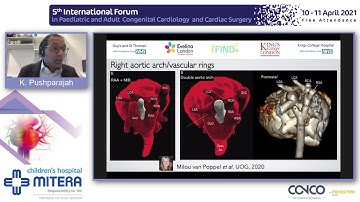 New developments in fetal Echo and fetal cardiac MRI