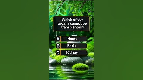 General Knowledge Quiz #shortsfeed #ytshorts #shortsbeta #quiz #youtubeshorts #generalknowledge