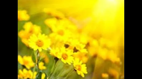 Funeral Services for Frances Marilla Cobb Strickland