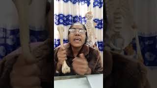 Lecture On Viva Questions On Humerus