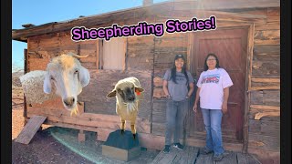 Come sheepherding with Me 🐑 DINÈ (Navajo) Life Style