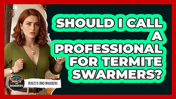 Should I Call A Professional For Termite Swarmers?