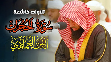 تلاوة رائعة بترتيل بديع وعذب ما تيسر من سورة الحجرات بصوت الشيخ أنس العمادي | عشاء 28-8-1446 هـ