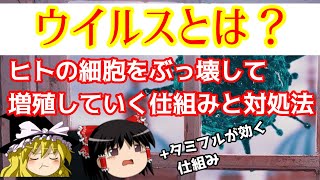 ウイルスの体内での増殖過程を化学的に深く解説【ゆっくり解説】