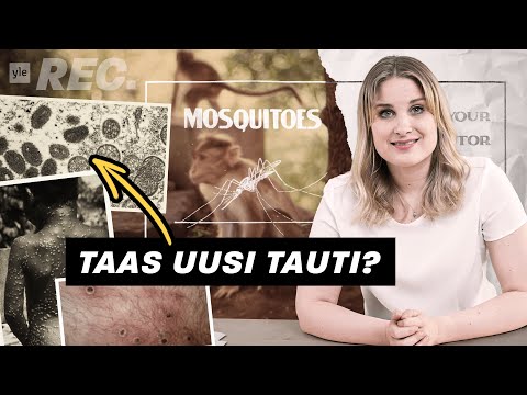 Video: Tarttuuko chikungunya ihmisestä toiseen?