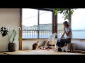#94 ネコと共に歳を重ねる幸せ｜多頭飼いの暮らし🐈🏠