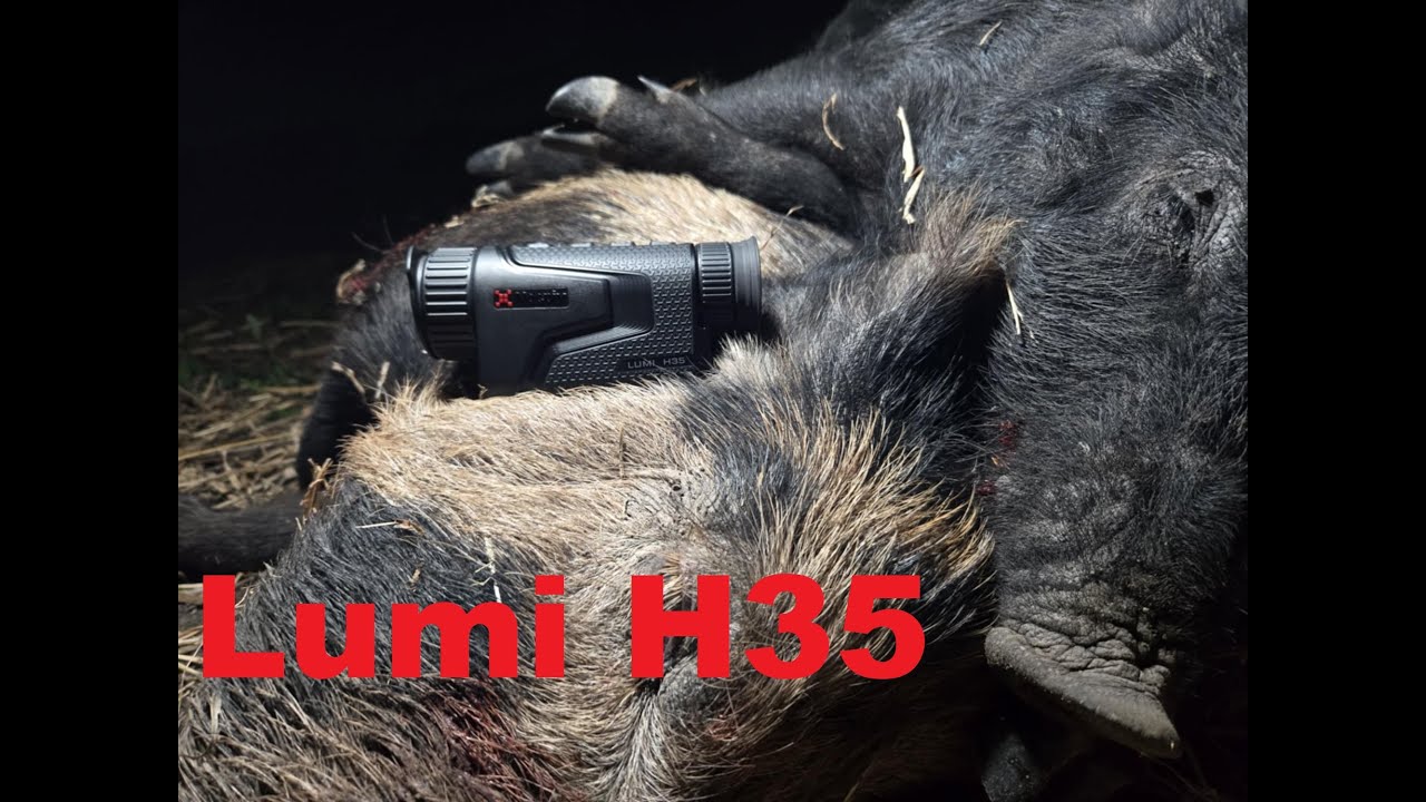 Nocpix Lumi H35