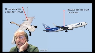 October 2025 General Meeting- How Birds Fly