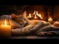 9 Hours of Soothing Relaxation for Cats. #asmr #purringcats #relaxation #relaxation #cat #kitten