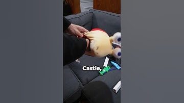 Perfectly Timed Mario Kart…