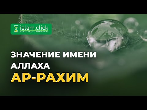 Значение имени Аллаха Ар-Рахим | Абу Яхья аль-Къирми | Коротко о важном